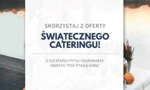 catering swiateczny Agroturystyka Pod Ptasia Gora 300x180 Boże Narodzenie 2024