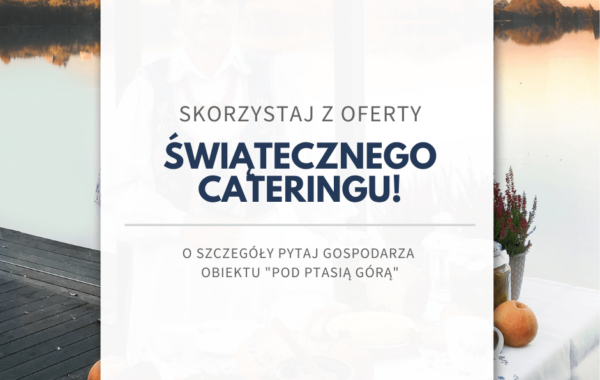 catering swiateczny Agroturystyka Pod Ptasia Gora 600x380 Boże Narodzenie 2024