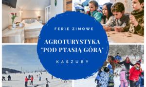 Ferie zimowe w Agroturystyce "Pod Ptasią Górą" w Pierszczewie to klimatyczne noclegi, warsztaty dla dzieci, stoki narciarskie oraz kuligi i sanki